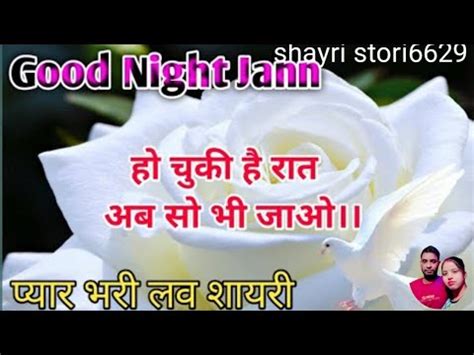 Good Night Shayri Video Love Shayri Video Status Video Video New Status