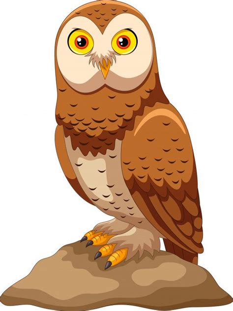 Premium Vector Cute Owl Cartoon Owl Cartoon Cute Owl Cartoon Owl