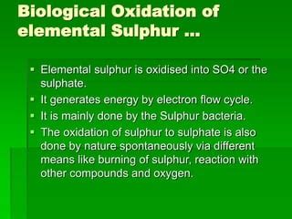 Sulphur Cycle PPT