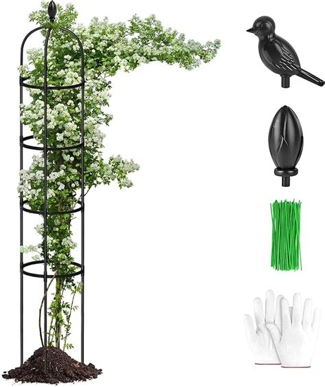 Amazon Dunatou Obelisk Trellis Garden Trellis For Climbing Plants