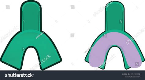 9 Dental Impression Tray Stock Vectors Images And Vector Art Shutterstock