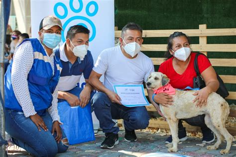 Pao y Puente hallaron una nueva familia El sábado 19 de junio más