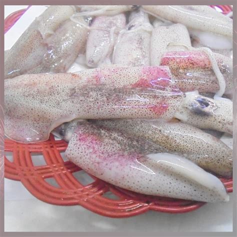 Jual Ikan Cumi Beku Segar Ukuran Sedang Gr Kg Cumicumi Frozen Food