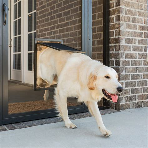 Largest Dog Door Available At Bryan Robertson Blog