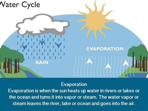 Water Cycle By Jlenae34