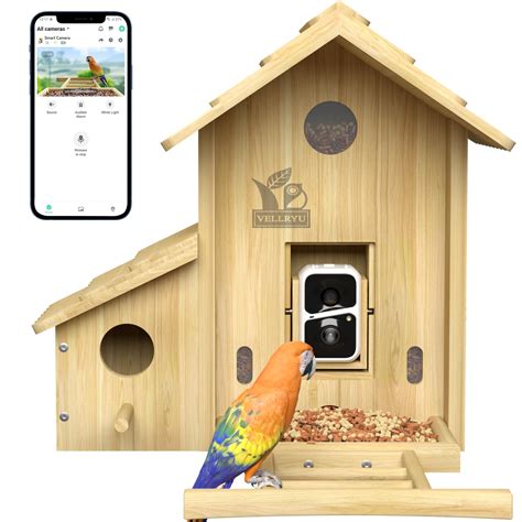 Amazon Smart Bird Feeder With Camera Solar Powered AI Identify