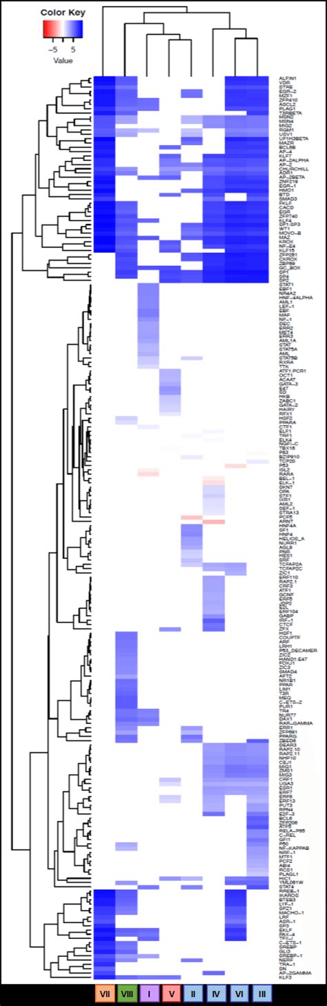 Figure S1 Related To Figure 3 Transcription Factor Binding Site