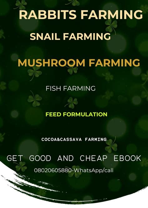 No Sex Before Marriage Is A Scam Romance Nigeria