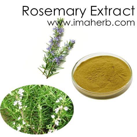 Rosemary Extract Rosemary Leaf Extract Rosmarinic Acid Ursolic Acid Carnosic Acid