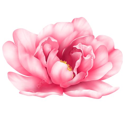 Watercolor Flowers Png Transparent Png Mart