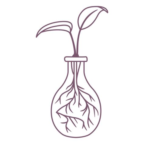 Diseño Png Y Svg De Planta En Elemento De Trazo De Maceta De Vidrio