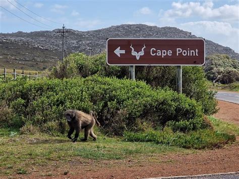 Cosa Vedere In Sudafrica Itinerario Di E Giorni