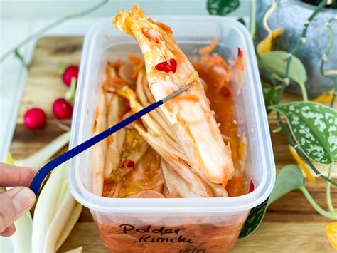 Zelf Polderkimchi Met Witlof Maken Recept Betty S Kitchen