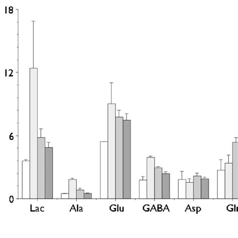 Brain Metabolite Pool Sizes Lac Lactate Gaba Aminobutyrate