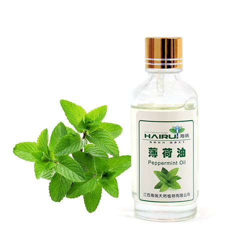 China Pure Peppermint Oil Manufacturers and Factory, Exporters | HaiRui