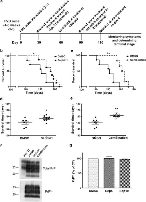 Sephin1 Extends The Survival Time In Mice Infected With Rml Prions A