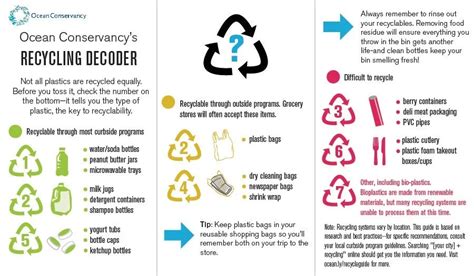 11 Ideas For Easier Recycling At Home Bioenergy Consult