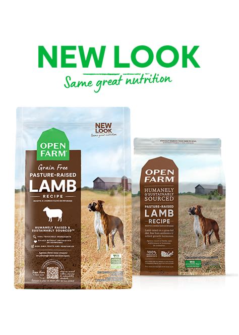 Grain-Free Lamb Dry Dog Food | Open Farm