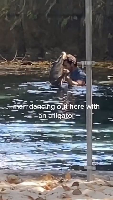 Man Dancing With An Alligator Rinterestingasfuck