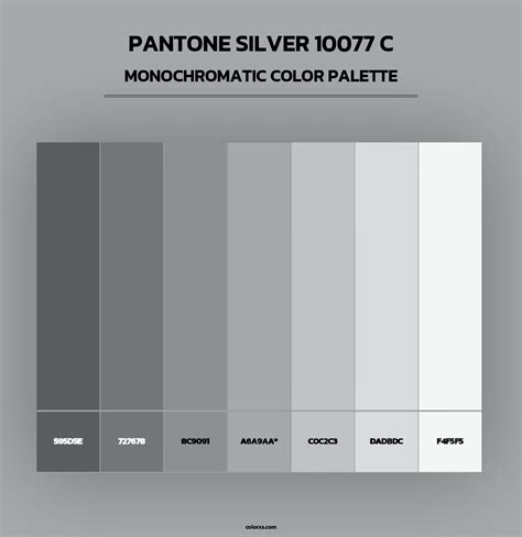Pantone Silver 10077 C Color Palettes