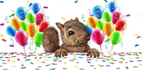 When & How to Celebrate Squirrel Appreciation Day - Fun Ideas