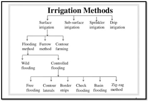 Different Types of irrigation & Irrigation Systems