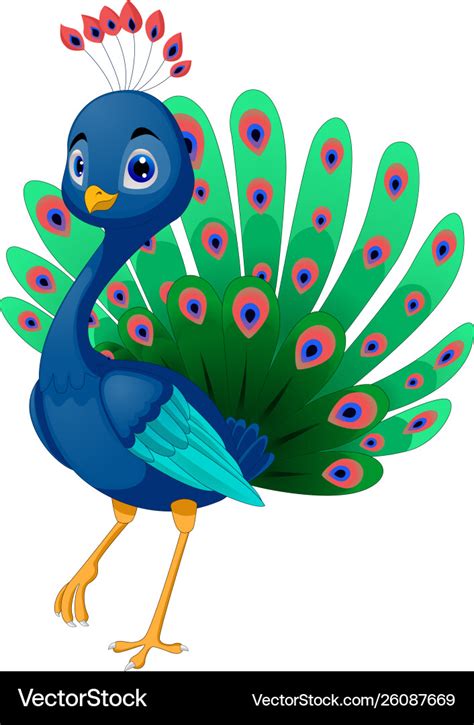 Peacock Cartoon Images