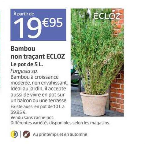 Promo Bambou Non Traçant Ecloz chez Jardiland iCatalogue fr