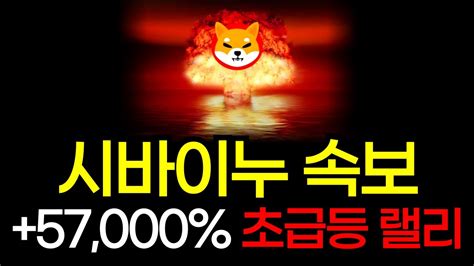 긴급속보 시바이누 57000 초급등 랠리 절대 흔들리지 마세요 Youtube