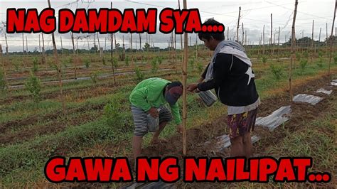 NAG DAMDAM SYA GAWA NG NAILIPAT MADAMI DAMING TRABAHO ANG NAGAWA SA