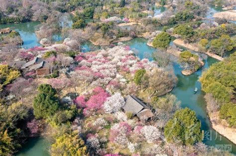 浙江杭州：西溪湿地 曲水寻梅 人民图片网