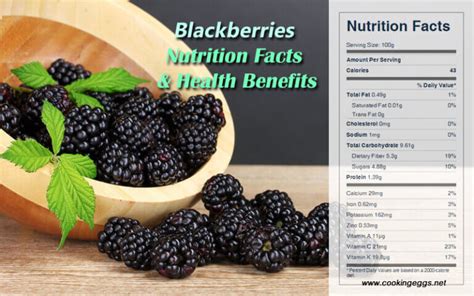 Blackberries Nutrition Facts Health Benefits Cookingeggs