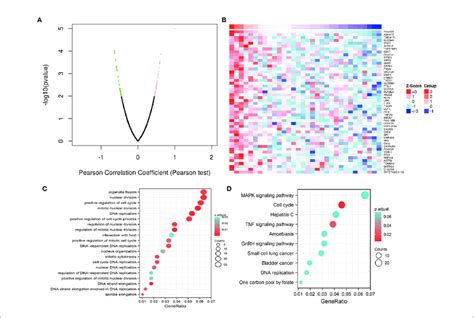 Functional Enrichment Analysis A B The Correlation Analysis Of