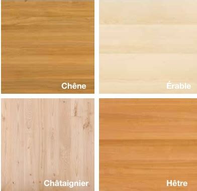 Dossier les essences de bois et leurs spécificités