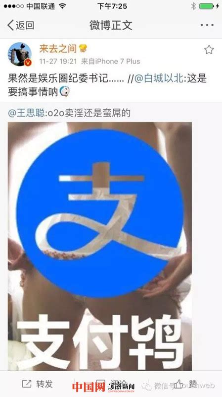 支付宝现裸照变身陌陌？“娱乐圈纪委”王思聪点评：卖淫还是蛮屌的 中国网