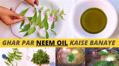 Ghar Par Neem Oil Kaise Banaye How To Make Neem Oil At Home Azadirachta Indica Oil Neem