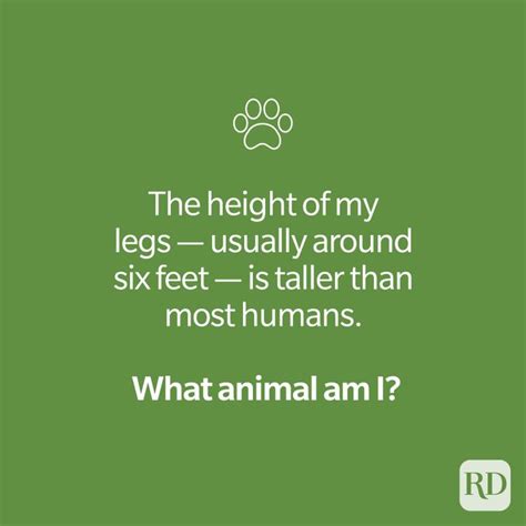 30 Animal Riddles That Are Serious Mind Benders | Reader's Digest