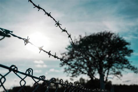 70 Barded Wire Stock Photos Pictures And Royalty Free Images Istock