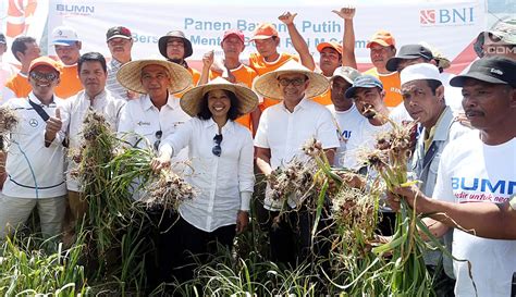 PHOTO BNI Guyur Petani Bawang Sembalun Dengan Kredit Usaha Rakyat