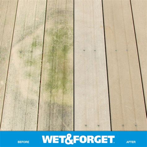 Wet And Forget 48 Fl Oz Mold And Mildew Stain Remover Concentrated Outdoor Cleaner In The