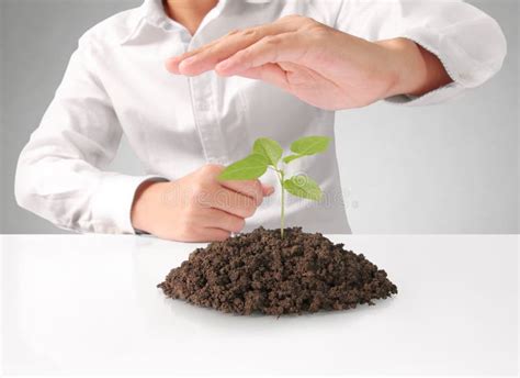 Concept Of Growing From Plant In Hand Stock Image Image Of Leaf