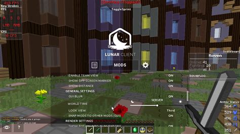 The Best Lunar Client Settings For Fps In Minecraft Fp