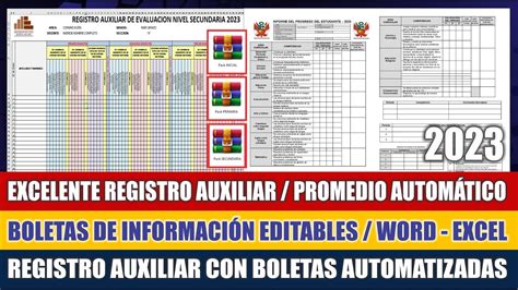 Registro Auxiliar Boletas De Informaci N Registros Con Boletas