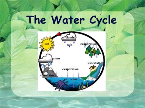 Top 137 Water Cycle Animation Ppt