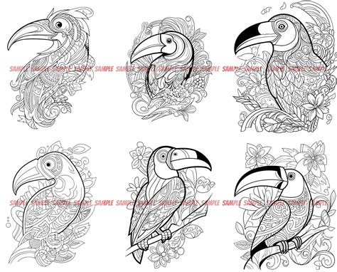 Mandala Toucan Coloring Pages Images Adult Coloring Etsy