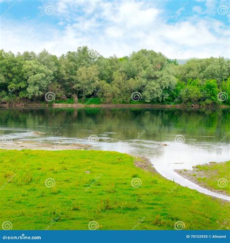 Plain River With Inflows And Forest Stock Photo Image Of Forest Blue