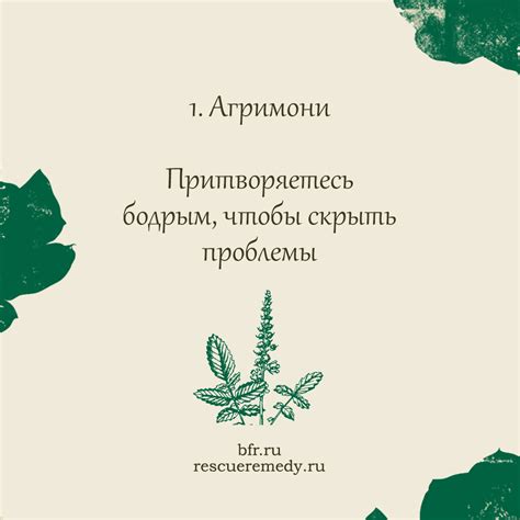 Bach remedy — ЦВЕТЫ БАХА