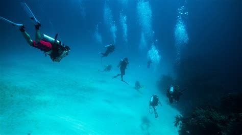 Adventurous Belize Scuba Diving Belizean Shores Resort