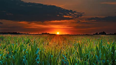 1920x1080 Crop Field Sunset Laptop Full HD 1080P ,HD 4k Wallpapers ...