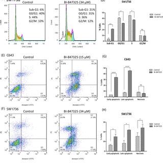 The Effect Of Bi On The Cell Cycle Distribution Apoptosis And